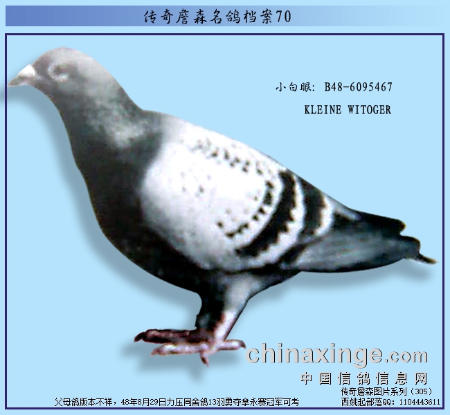 ղɭ�ֵ����뵵����С����