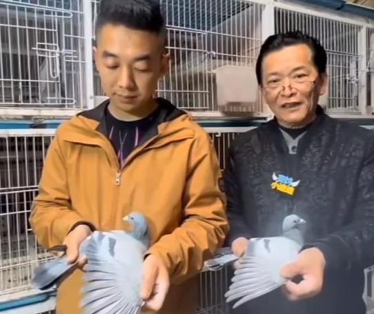 ���á����˼ơ� �Ϻ����˸����������ʵս����