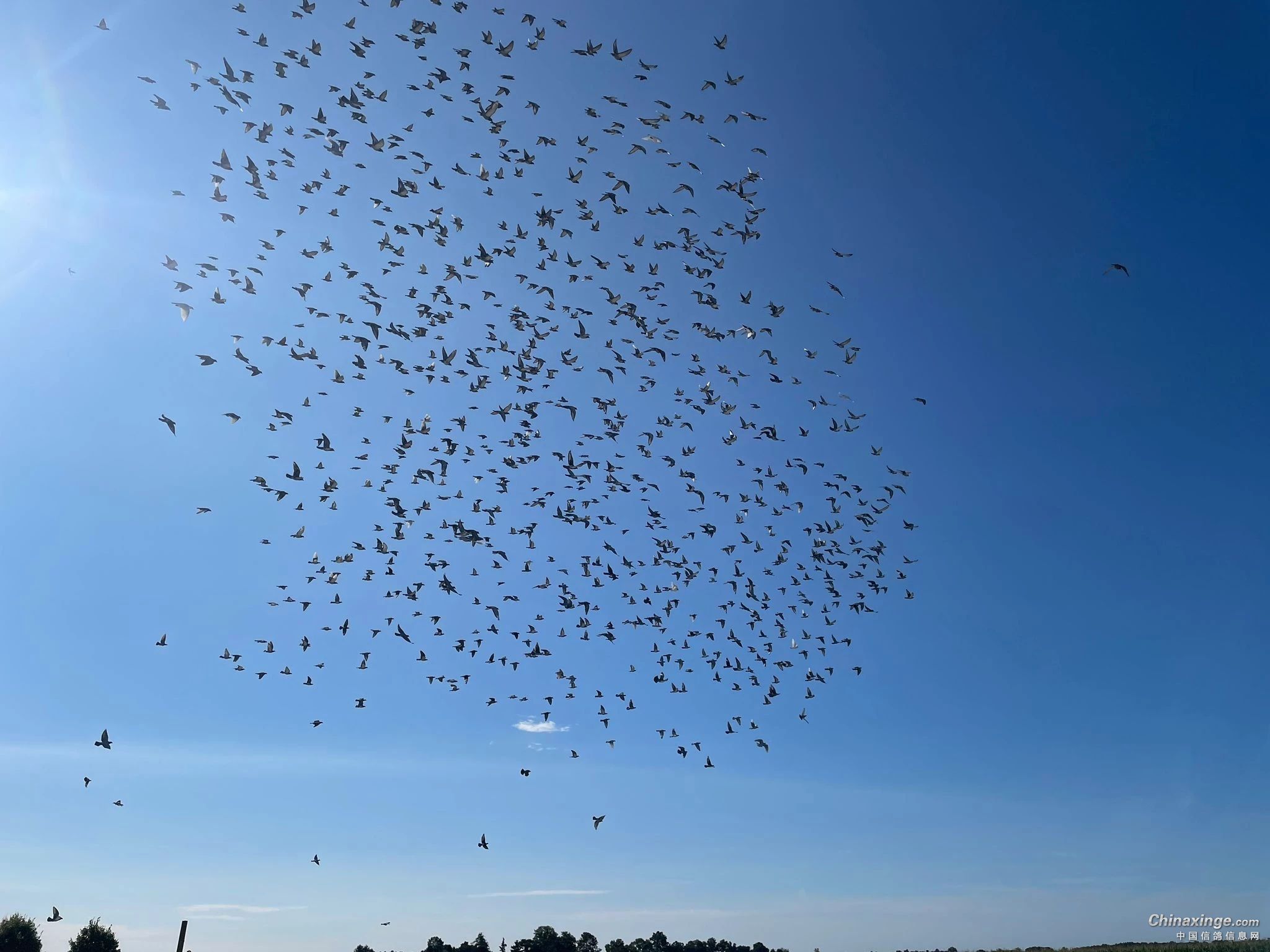 ǳ̸������С��