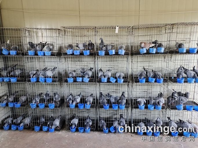 �������������� ����������������˿�