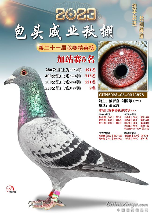 ����·�����˻�ϲ������