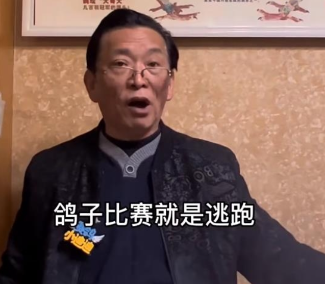 �Ϻ�����ëͷ�������ӱ����������� 