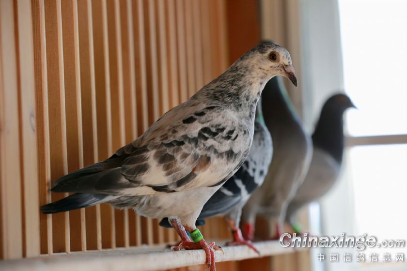 ı�����ˣ���������