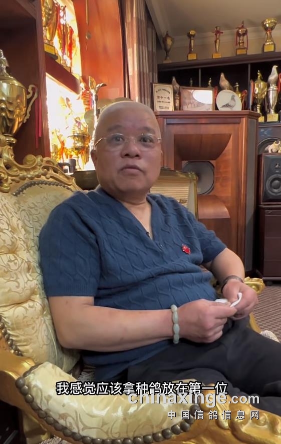 ��С�Ϻ���ר�ã�Ҫ��ɹھ� ��ѵ��