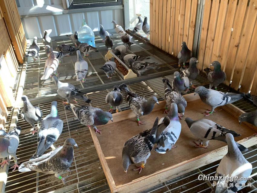 2023�������¼���£�