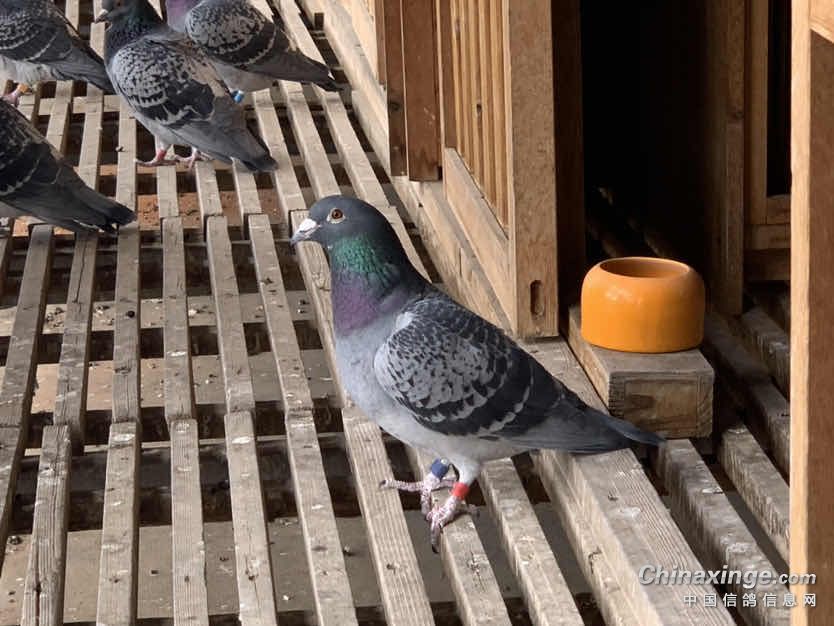 �������ָ벻�˲ִ�����