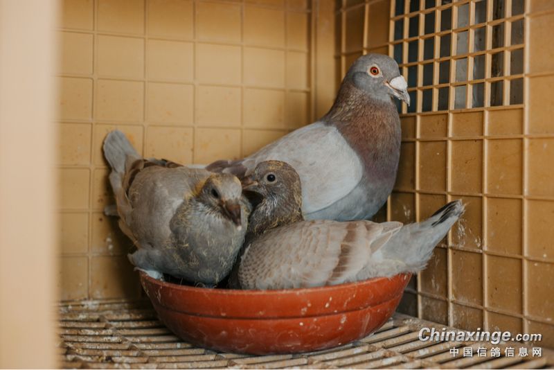 ��������ѡ����ĸ�����š���