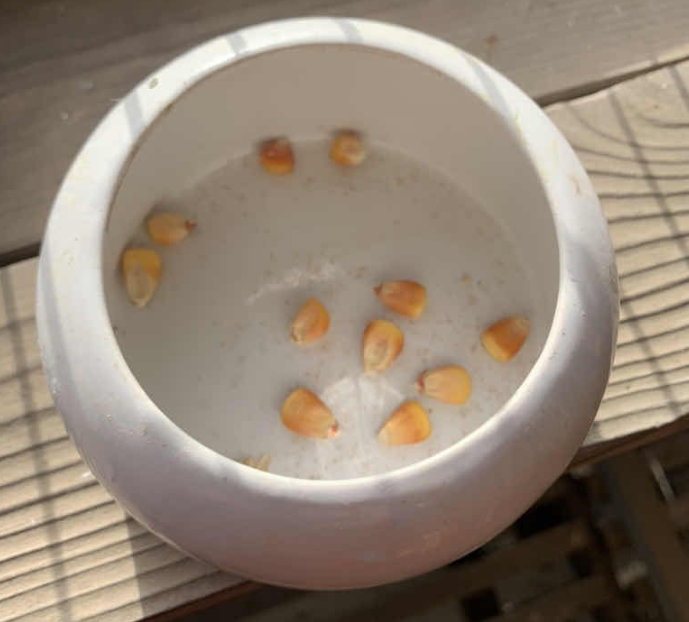 �ӿ������벻������������˼