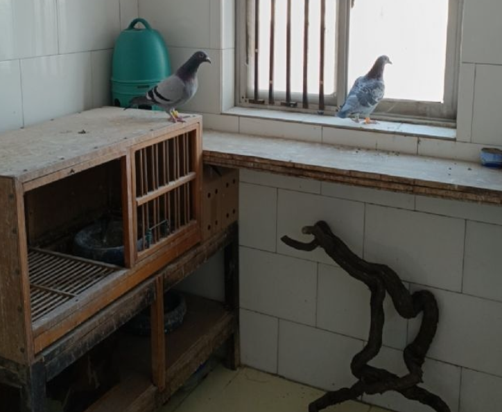 �еô���������� ����ʧ����֪�Ǹ�