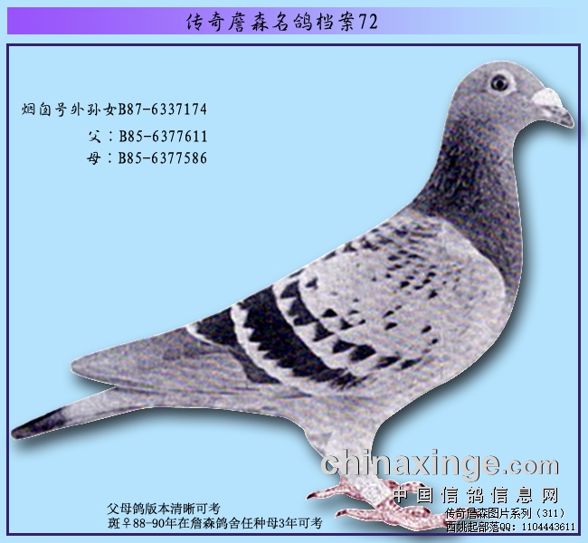 ����ղɭ���룺�̴Ѻ�����Ů