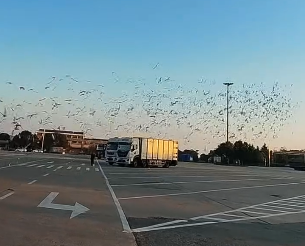 ųɵĸ߹鳲ʣʤĹԲĻ