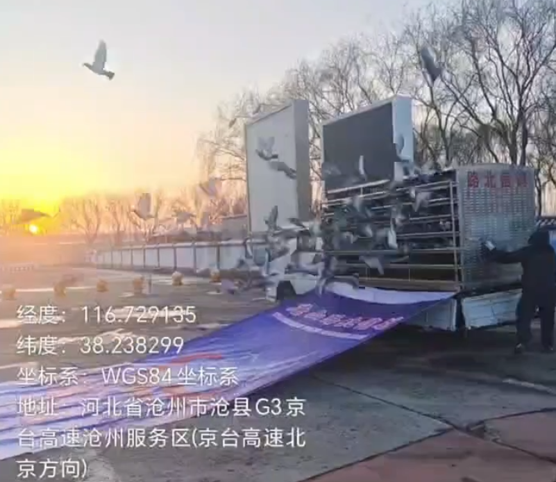 ��ɽ·�����Ԫ�����׹���Ļ