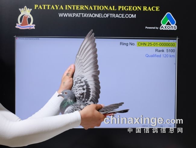 �����Ŷ����й�������Ϯ�Ƕ���������