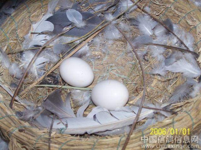 �Ƹ�����ε���ԭ�򼰶Բ�