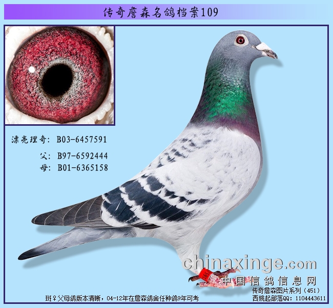 ����ղɭ���뵵��109