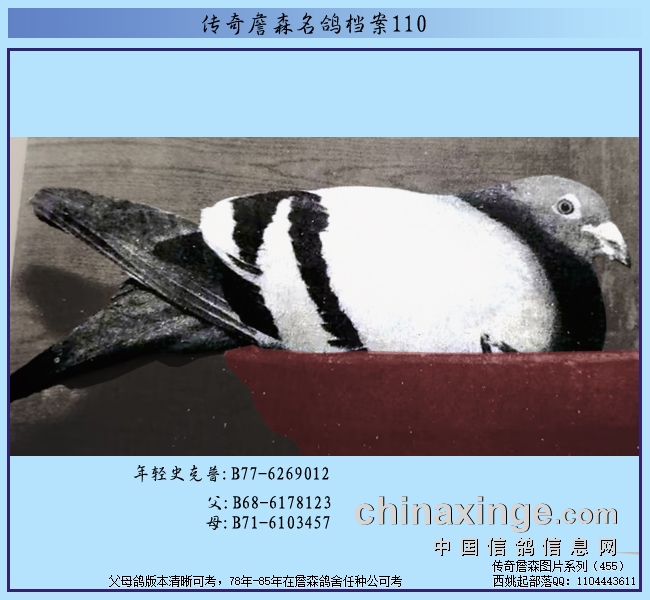 ����ղɭ���뵵��110