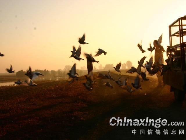 ��������Ҵ����ǧ���ﳬԶ��5�������� 