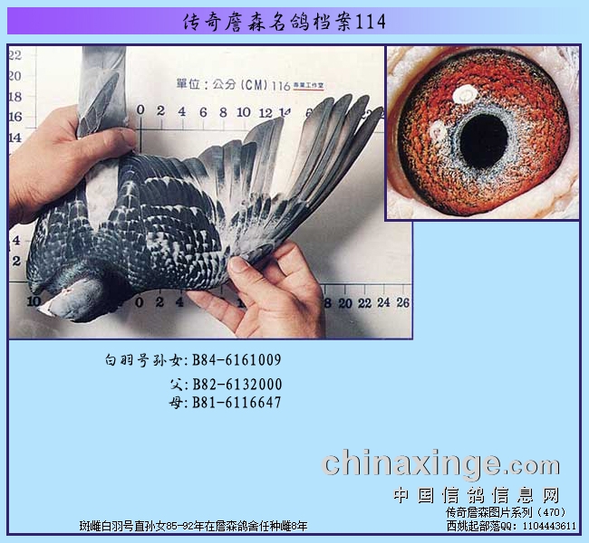 ����ղɭ���뵵��114