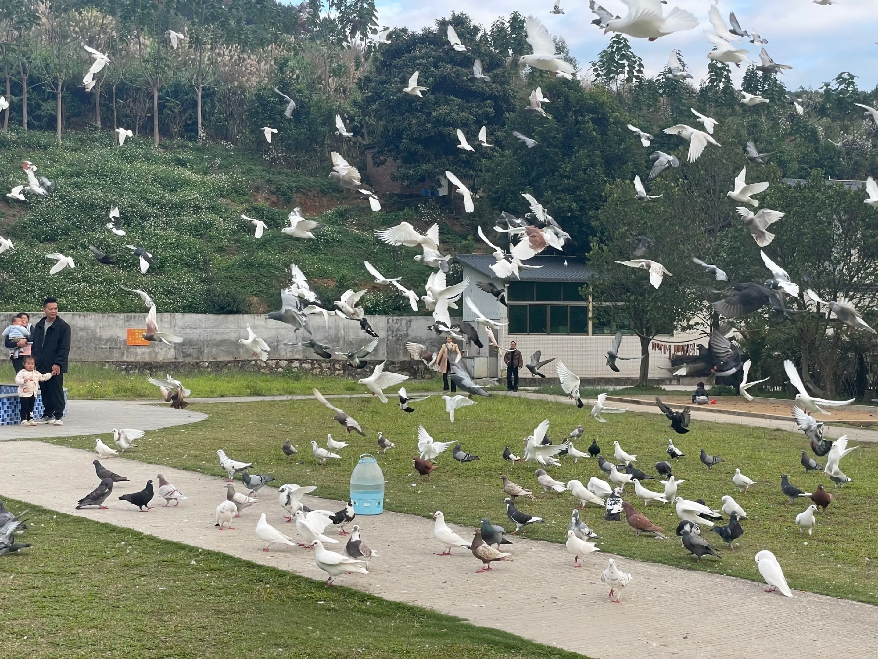 �����ɣ�������µ���ʮ��21