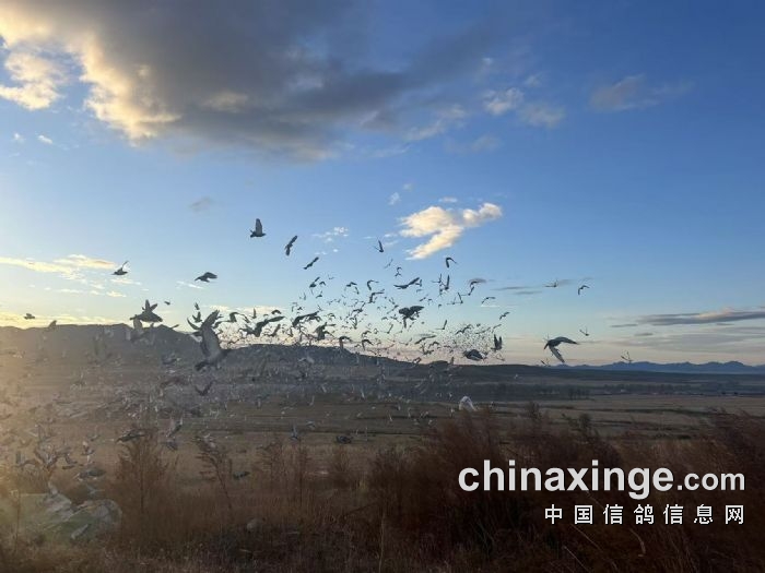 ���Ҹ�������Ļ ������ռ���������