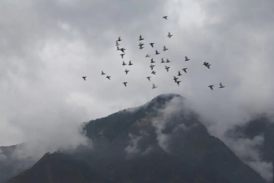 �����ʹ���й�������ʮ��10