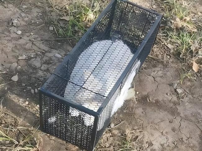 ͵������ɫ���������