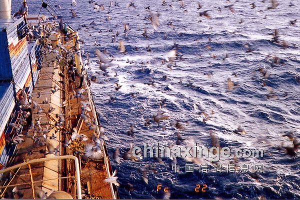 �����ɣ�������µ���ʮ��27