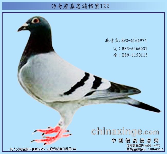 ����ղɭ���뵵��122