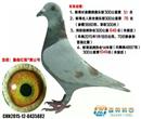 ҵ15׸룬4βμ300λ񽱣ڴ57400ܷɽΣϣ700鳲ư׸μ6