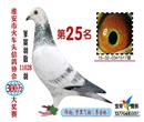 ׿ʣعƷʣ11028룬鳲107𣬱25