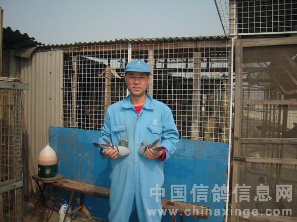 普陀区鸽友许广强手握冠军及五名