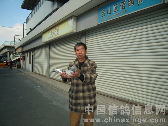 季军鸽友手持赛鸽