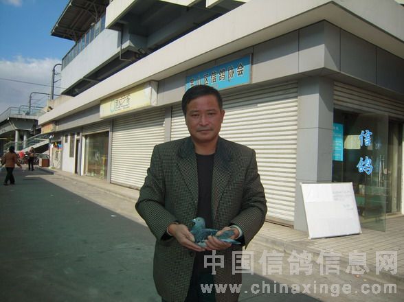 八名鸽主王金耀手握爱鸽