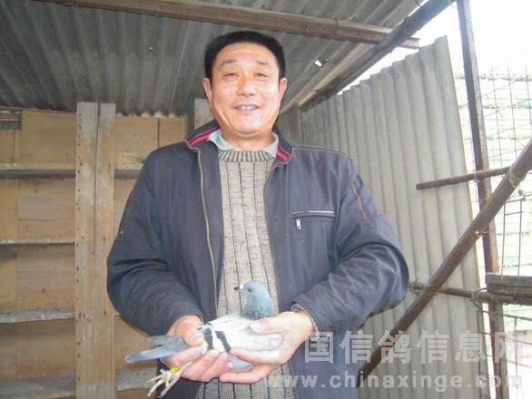 冠军鸽主胡正荣在鸽棚手握爱鸽