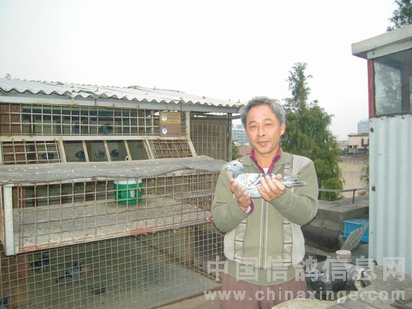 亚军鸽友毛俊辉在鸽棚前手握爱鸽