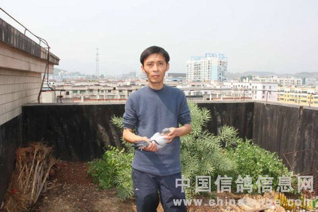 天津捐赠鸽育出