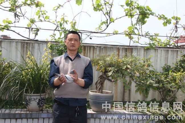 天津捐赠鸽育出