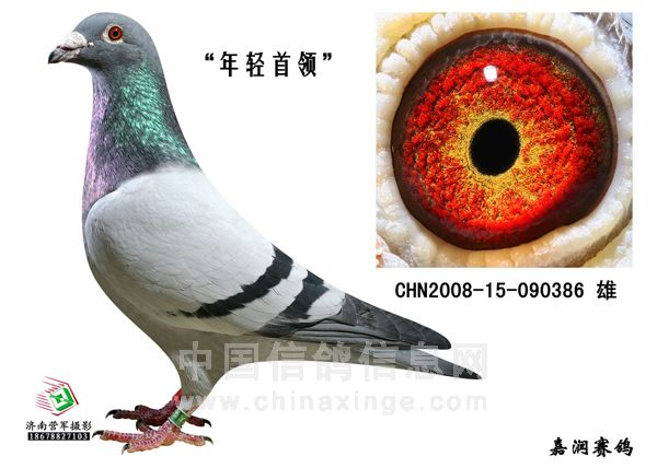 第三配对男主角