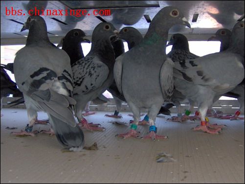 按此在新窗口浏览图片