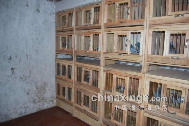 ָ룬߼Ķʦ֧Ԯпոд棬