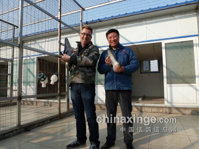 考夫曼、邢先生与开尔双雄“爱克”和“大白鲨”