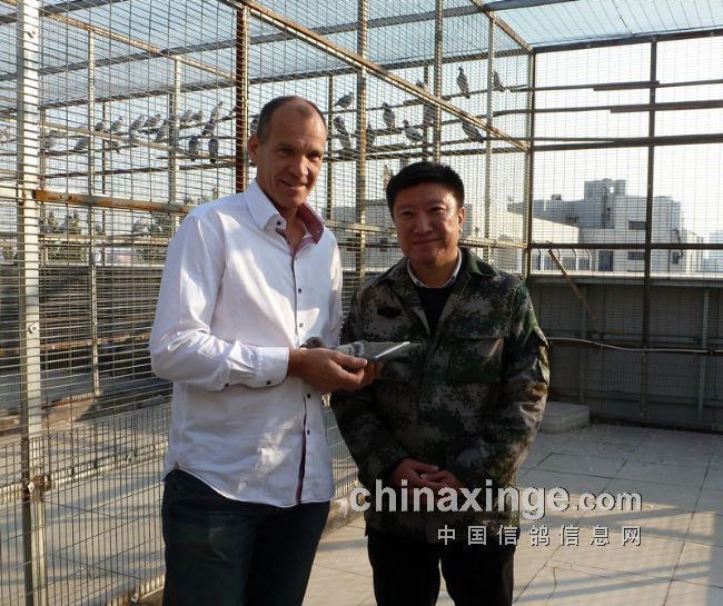 杨胡曼斯和邢先生在开尔鸽舍