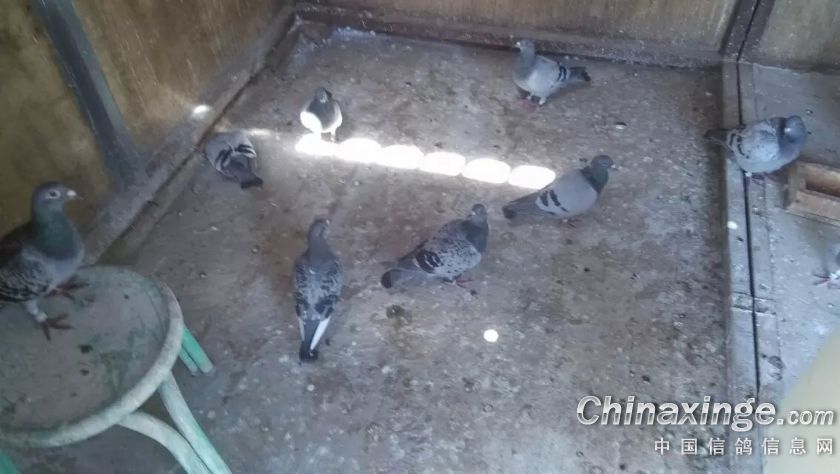 按此在新窗口浏览图片