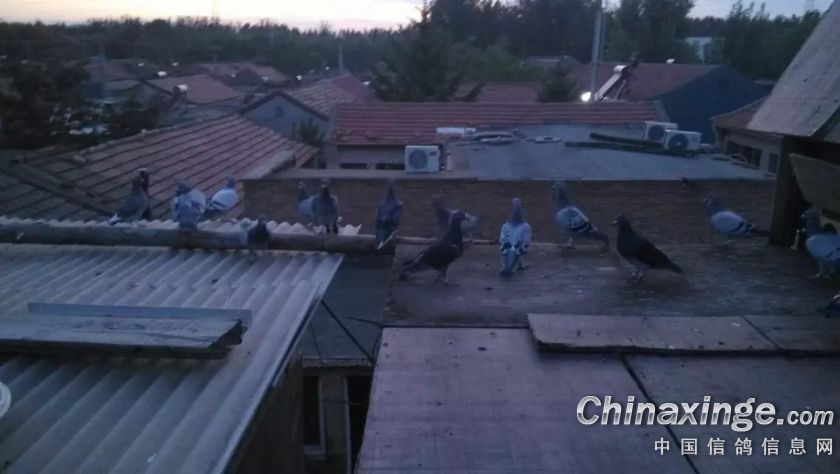 按此在新窗口浏览图片