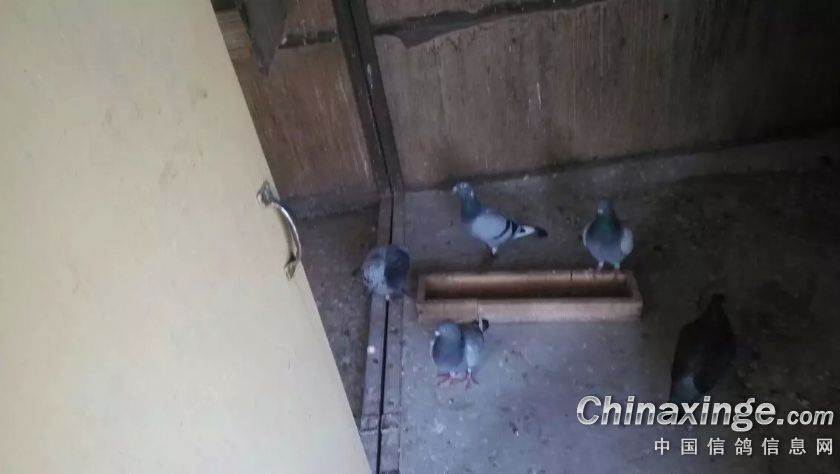 按此在新窗口浏览图片