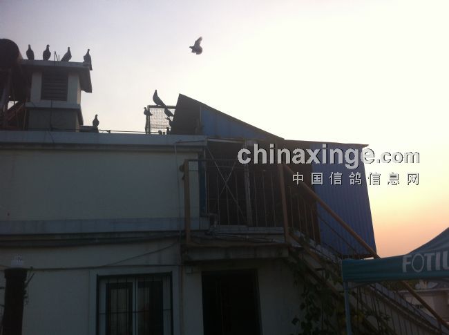 按此在新窗口浏览图片