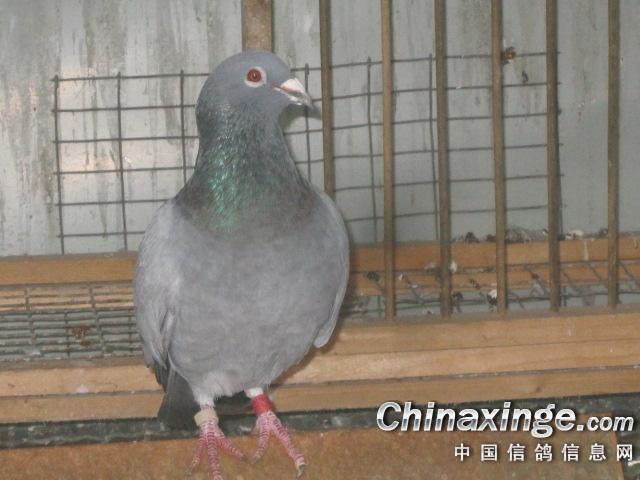 按此在新窗口浏览图片