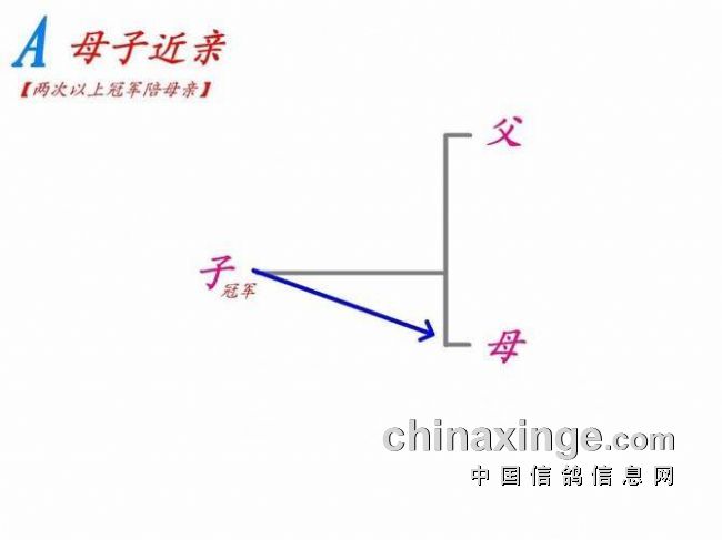 干货:信鸽回血公式(图)