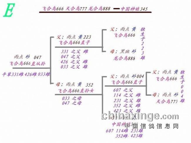 干货:信鸽回血公式(图)