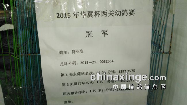 2016年海南省信鸽协会颁奖拍卖现场